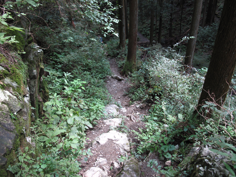20150929hike (295)